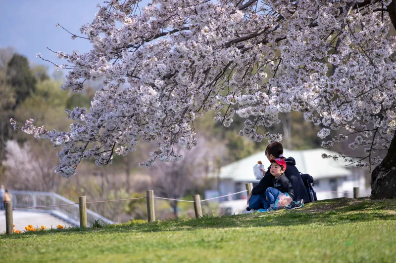 Nothing Lasts Forever — And That's Actually the Point: How Mono No Aware Is Changing the Way Americans Live